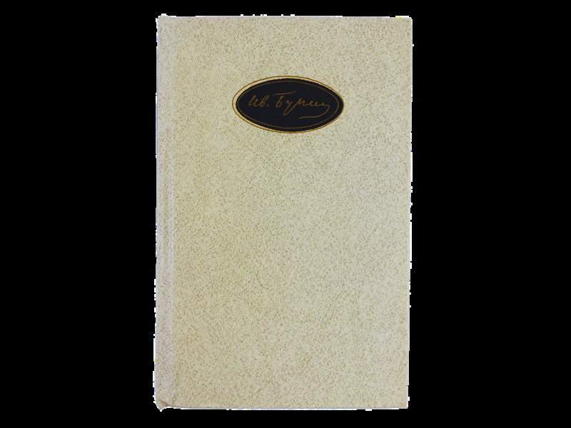 вулиця-Ніни-Строкатої-2 вулиця Ніни Строкатої-2