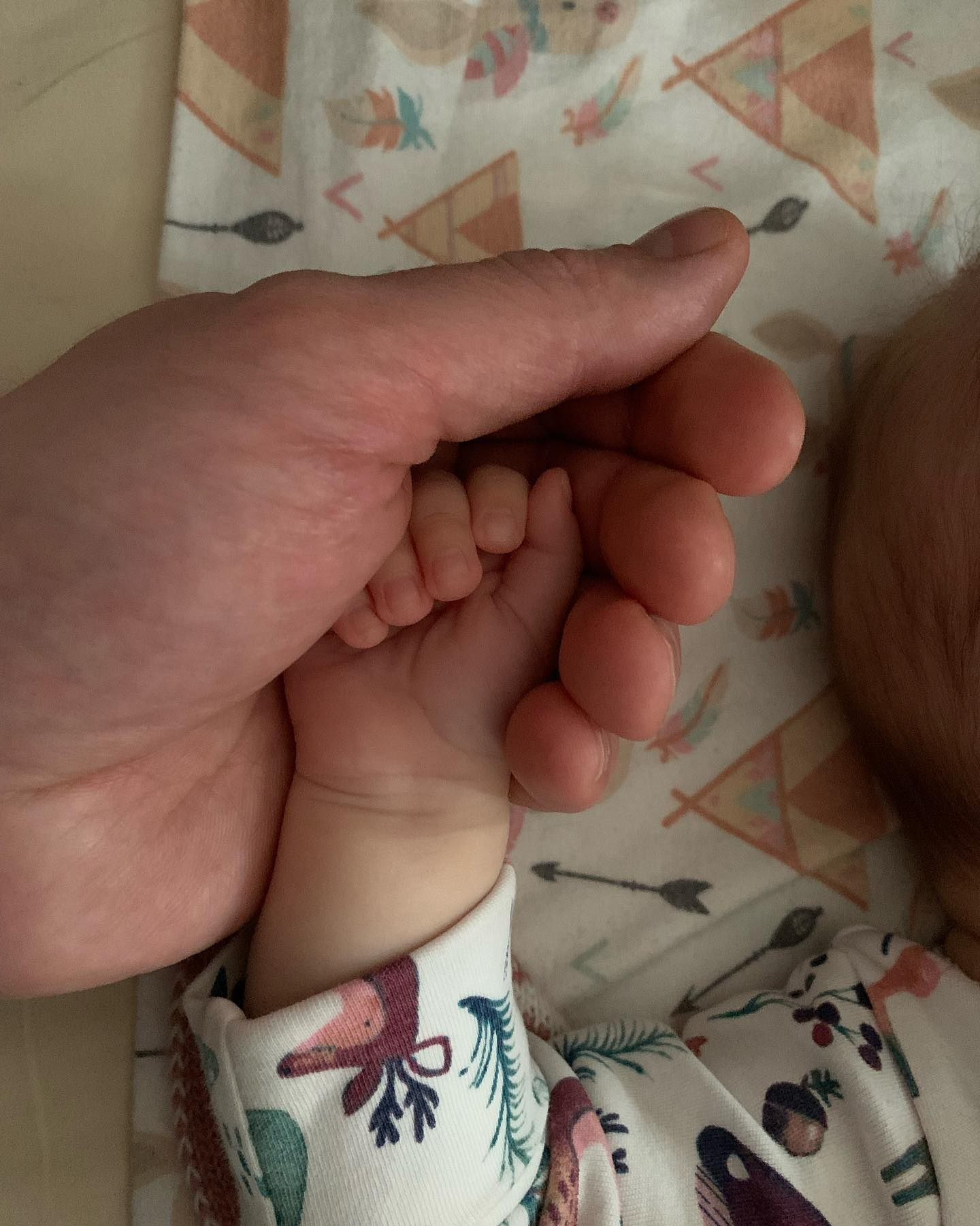 вулиця-Сім-ї-Глодан-11 вулиця Сім’ї Глодан-11